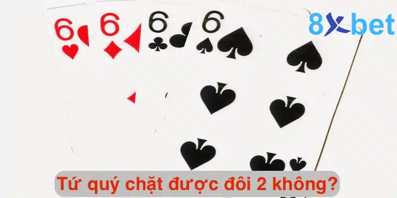 Tứ quý chặt được đôi 2 không? Tứ quý có thể chặt được gì? 8 Giải đáp chi tiết thắc mắc tứ quý chặt được đôi 2 không?