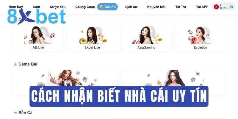 Nhà cái là gì? Thông tin chi tiết về giải trí trực tuyến 4 Dấu hiệu nhận biết uy tín, chất lượng của nhà cái là gì